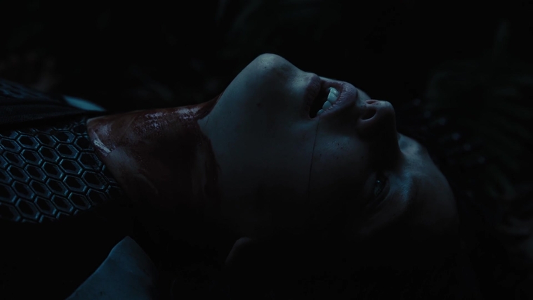 The_Hunger_Games_Catching_Fire_2013_1080p_BluRay_x264_AAC_-_Ozlem_10364.jpg