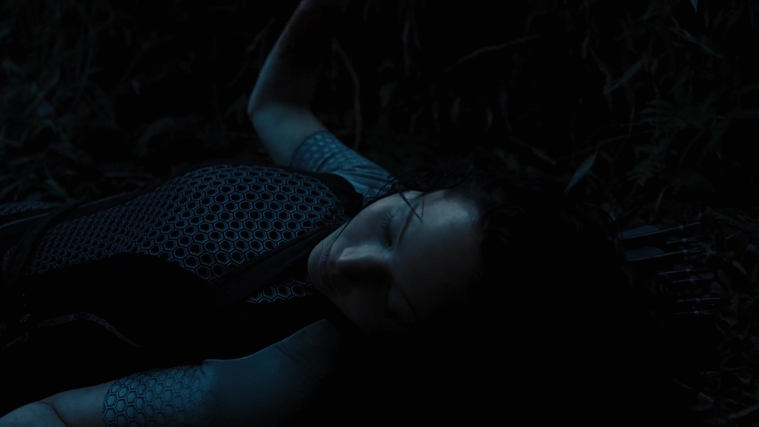 The_Hunger_Games_Catching_Fire_2013_1080p_BluRay_x264_AAC_-_Ozlem_10368.jpg