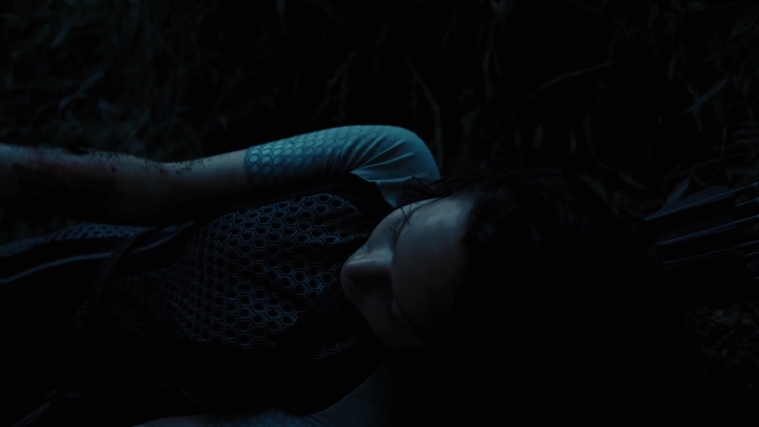 The_Hunger_Games_Catching_Fire_2013_1080p_BluRay_x264_AAC_-_Ozlem_10370.jpg