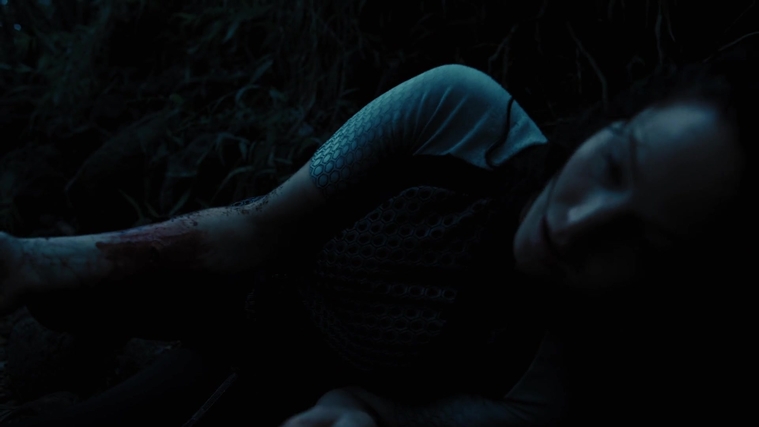 The_Hunger_Games_Catching_Fire_2013_1080p_BluRay_x264_AAC_-_Ozlem_10372.jpg