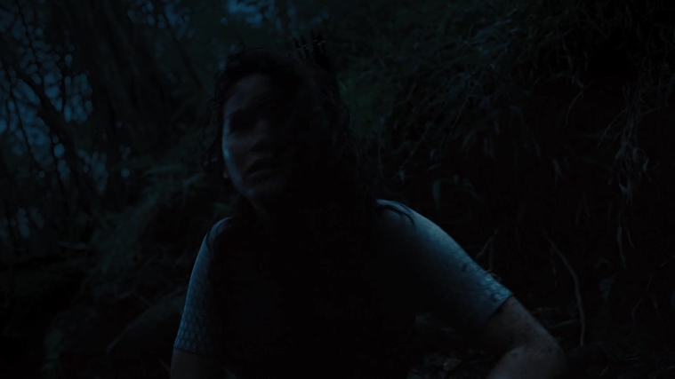 The_Hunger_Games_Catching_Fire_2013_1080p_BluRay_x264_AAC_-_Ozlem_10382.jpg