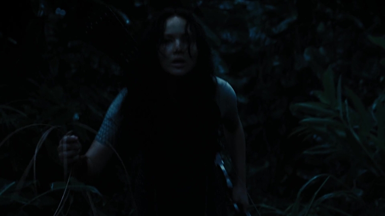 The_Hunger_Games_Catching_Fire_2013_1080p_BluRay_x264_AAC_-_Ozlem_10427.jpg