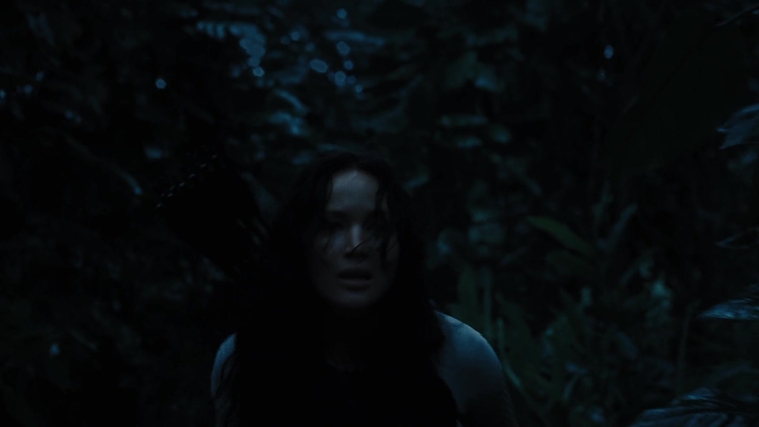 The_Hunger_Games_Catching_Fire_2013_1080p_BluRay_x264_AAC_-_Ozlem_10432.jpg