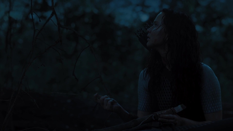 The_Hunger_Games_Catching_Fire_2013_1080p_BluRay_x264_AAC_-_Ozlem_10464.jpg