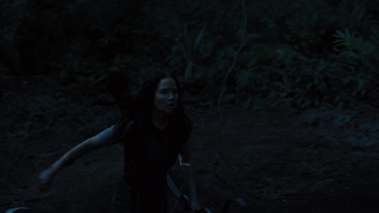 The_Hunger_Games_Catching_Fire_2013_1080p_BluRay_x264_AAC_-_Ozlem_10473.jpg