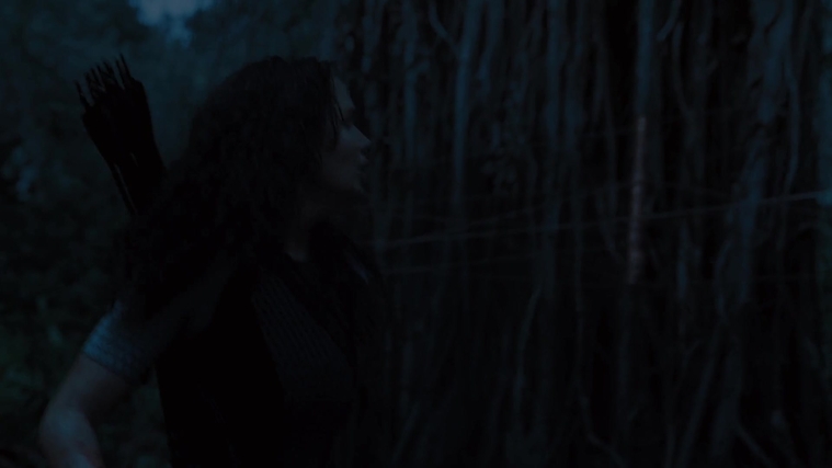 The_Hunger_Games_Catching_Fire_2013_1080p_BluRay_x264_AAC_-_Ozlem_10476.jpg