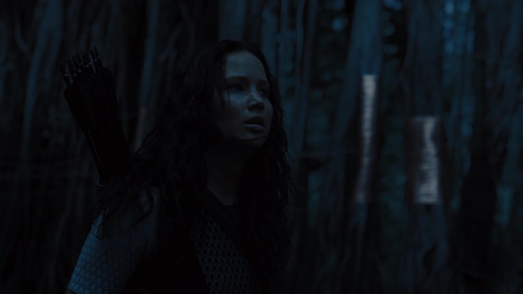 The_Hunger_Games_Catching_Fire_2013_1080p_BluRay_x264_AAC_-_Ozlem_10478.jpg