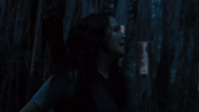 The_Hunger_Games_Catching_Fire_2013_1080p_BluRay_x264_AAC_-_Ozlem_10479.jpg