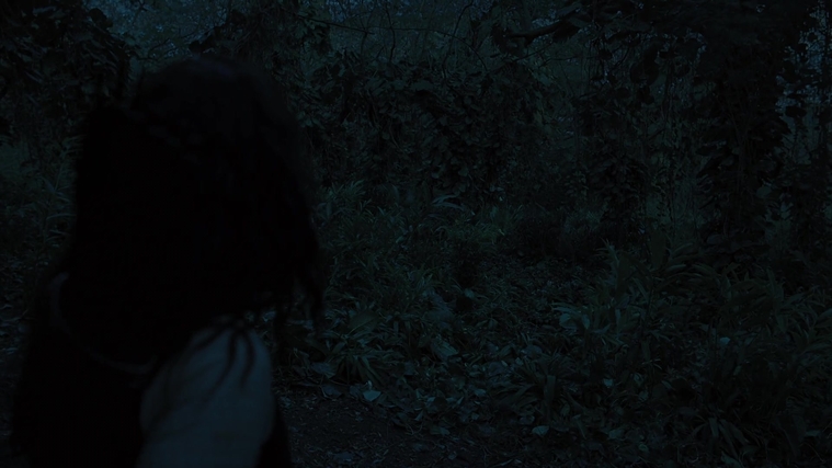 The_Hunger_Games_Catching_Fire_2013_1080p_BluRay_x264_AAC_-_Ozlem_10482.jpg