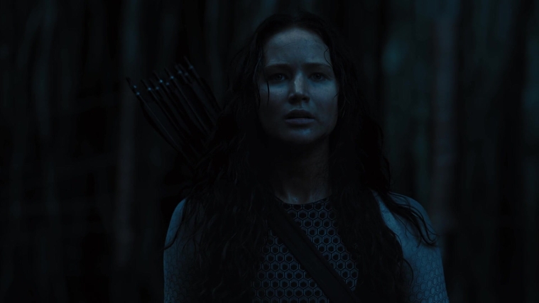 The_Hunger_Games_Catching_Fire_2013_1080p_BluRay_x264_AAC_-_Ozlem_10486.jpg