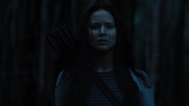 The_Hunger_Games_Catching_Fire_2013_1080p_BluRay_x264_AAC_-_Ozlem_10487.jpg