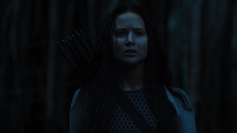 The_Hunger_Games_Catching_Fire_2013_1080p_BluRay_x264_AAC_-_Ozlem_10488.jpg