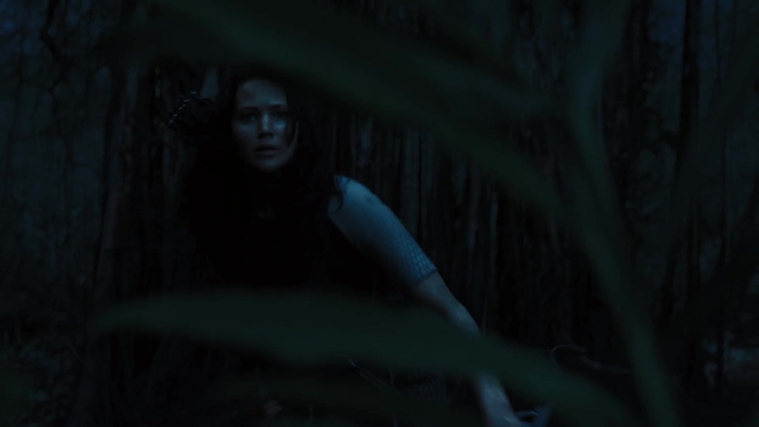 The_Hunger_Games_Catching_Fire_2013_1080p_BluRay_x264_AAC_-_Ozlem_10496.jpg