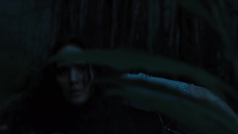 The_Hunger_Games_Catching_Fire_2013_1080p_BluRay_x264_AAC_-_Ozlem_10497.jpg