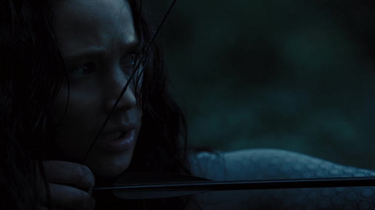 The_Hunger_Games_Catching_Fire_2013_1080p_BluRay_x264_AAC_-_Ozlem_10528.jpg