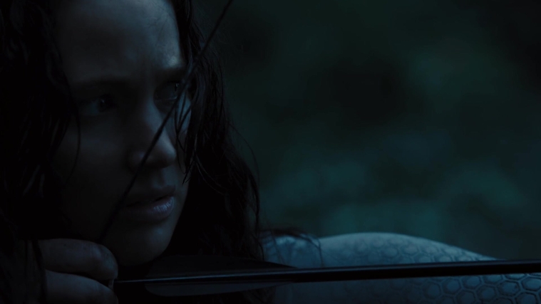 The_Hunger_Games_Catching_Fire_2013_1080p_BluRay_x264_AAC_-_Ozlem_10531.jpg