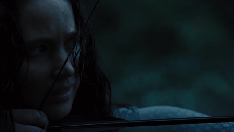 The_Hunger_Games_Catching_Fire_2013_1080p_BluRay_x264_AAC_-_Ozlem_10532.jpg