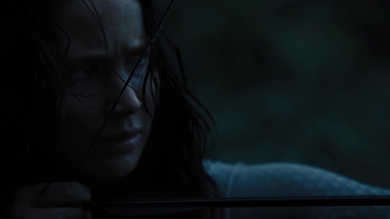 The_Hunger_Games_Catching_Fire_2013_1080p_BluRay_x264_AAC_-_Ozlem_10545.jpg