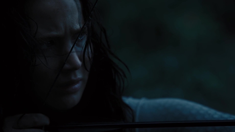 The_Hunger_Games_Catching_Fire_2013_1080p_BluRay_x264_AAC_-_Ozlem_10546.jpg