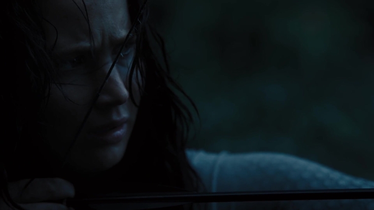 The_Hunger_Games_Catching_Fire_2013_1080p_BluRay_x264_AAC_-_Ozlem_10548.jpg