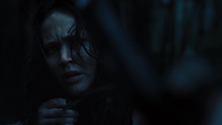The_Hunger_Games_Catching_Fire_2013_1080p_BluRay_x264_AAC_-_Ozlem_10554.jpg