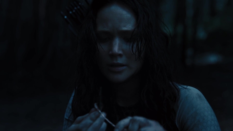 The_Hunger_Games_Catching_Fire_2013_1080p_BluRay_x264_AAC_-_Ozlem_10603.jpg