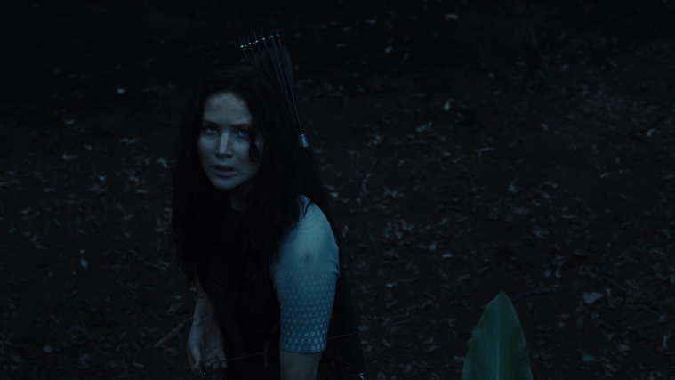 The_Hunger_Games_Catching_Fire_2013_1080p_BluRay_x264_AAC_-_Ozlem_10608.jpg