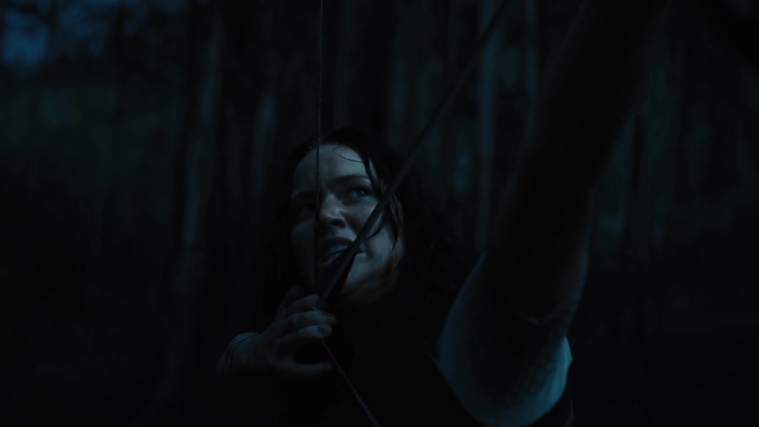The_Hunger_Games_Catching_Fire_2013_1080p_BluRay_x264_AAC_-_Ozlem_10618.jpg