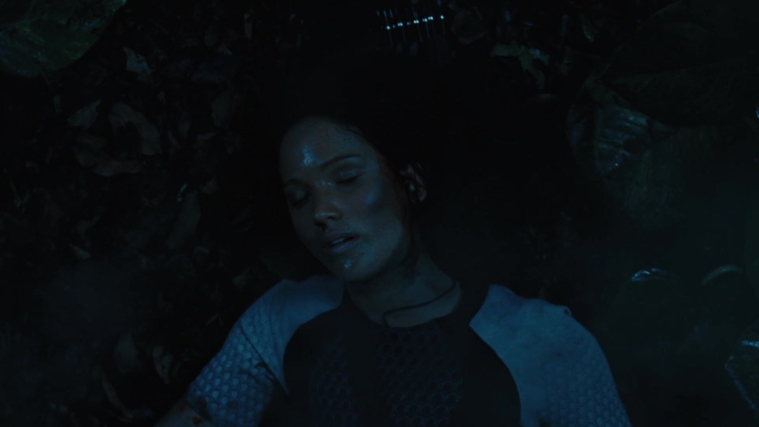 The_Hunger_Games_Catching_Fire_2013_1080p_BluRay_x264_AAC_-_Ozlem_10669.jpg
