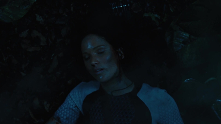 The_Hunger_Games_Catching_Fire_2013_1080p_BluRay_x264_AAC_-_Ozlem_10670.jpg