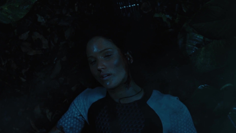 The_Hunger_Games_Catching_Fire_2013_1080p_BluRay_x264_AAC_-_Ozlem_10672.jpg