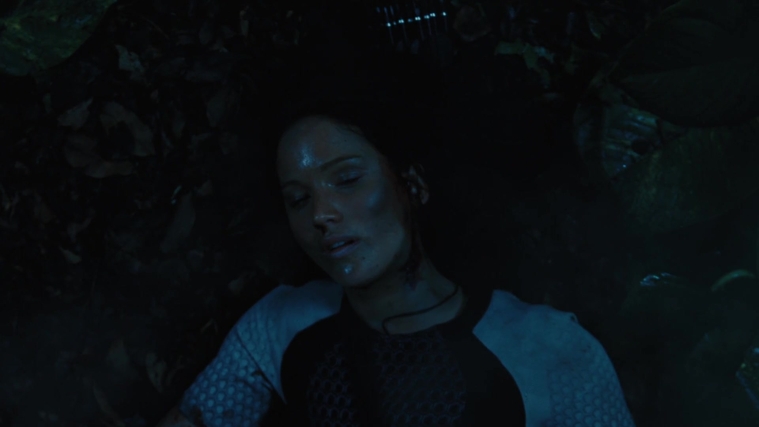 The_Hunger_Games_Catching_Fire_2013_1080p_BluRay_x264_AAC_-_Ozlem_10673.jpg