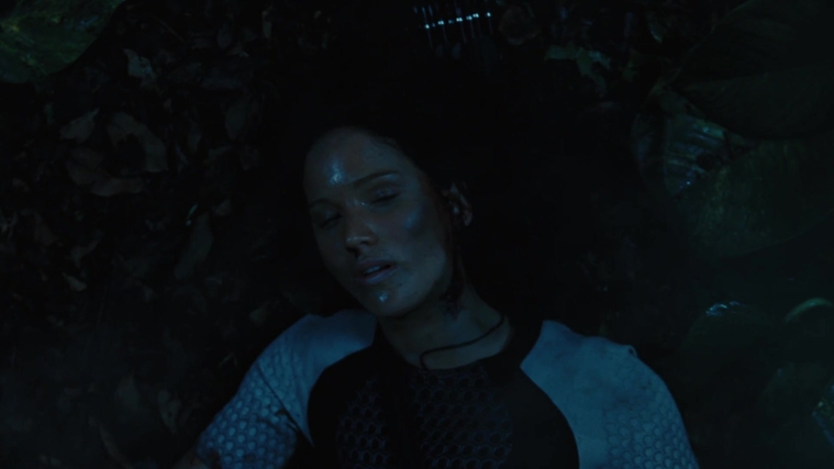 The_Hunger_Games_Catching_Fire_2013_1080p_BluRay_x264_AAC_-_Ozlem_10674.jpg