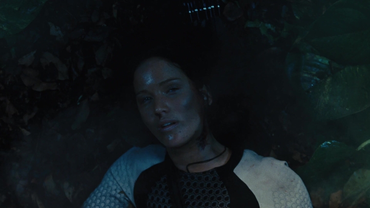 The_Hunger_Games_Catching_Fire_2013_1080p_BluRay_x264_AAC_-_Ozlem_10683.jpg