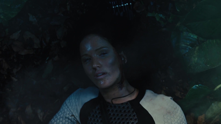 The_Hunger_Games_Catching_Fire_2013_1080p_BluRay_x264_AAC_-_Ozlem_10684.jpg