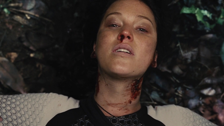 The_Hunger_Games_Catching_Fire_2013_1080p_BluRay_x264_AAC_-_Ozlem_10759.jpg