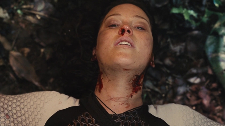 The_Hunger_Games_Catching_Fire_2013_1080p_BluRay_x264_AAC_-_Ozlem_10761.jpg