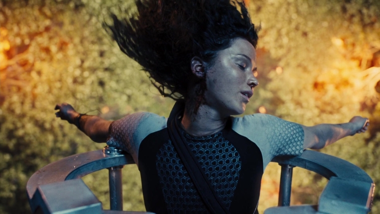 The_Hunger_Games_Catching_Fire_2013_1080p_BluRay_x264_AAC_-_Ozlem_10798.jpg