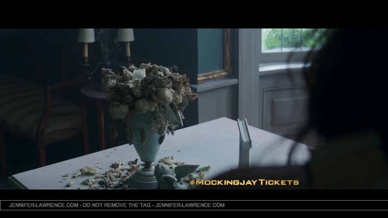 The_Hunger_Games__Mockingjay_Part_1_-_22Return_to_District_1222_164.jpg