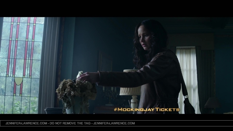 The_Hunger_Games__Mockingjay_Part_1_-_22Return_to_District_1222_170.jpg