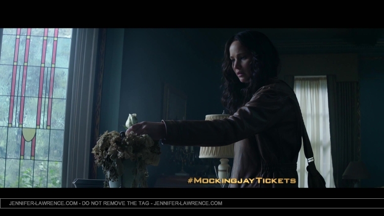 The_Hunger_Games__Mockingjay_Part_1_-_22Return_to_District_1222_173.jpg