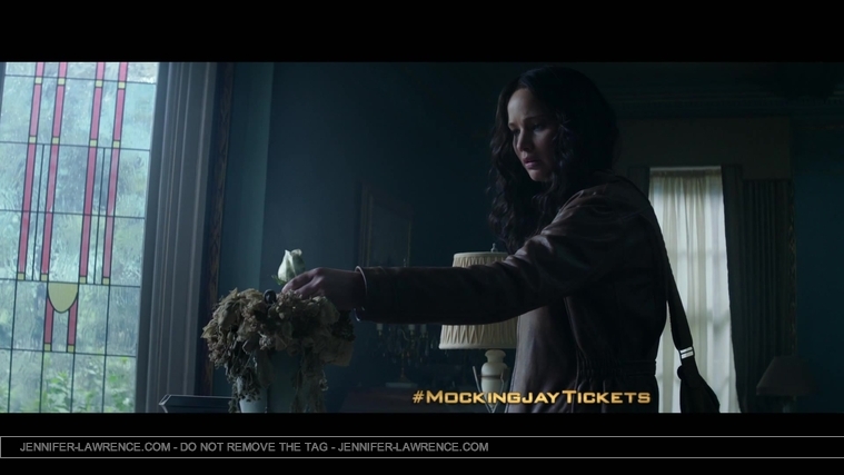 The_Hunger_Games__Mockingjay_Part_1_-_22Return_to_District_1222_174.jpg