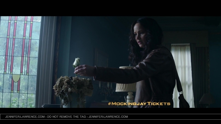 The_Hunger_Games__Mockingjay_Part_1_-_22Return_to_District_1222_175.jpg