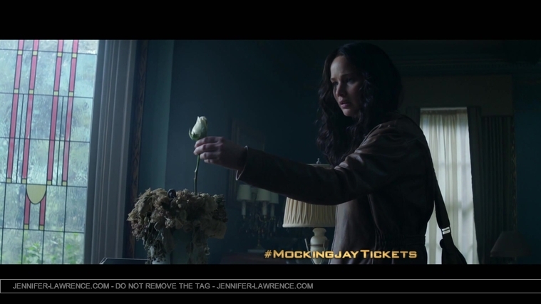 The_Hunger_Games__Mockingjay_Part_1_-_22Return_to_District_1222_177.jpg