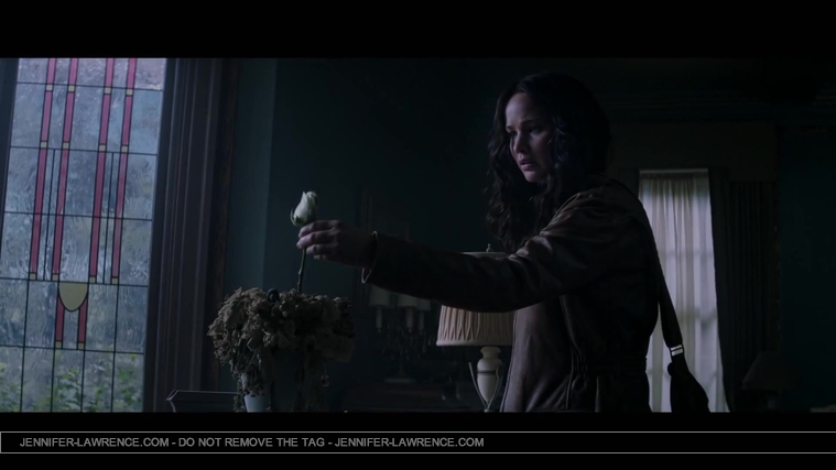 The_Hunger_Games__Mockingjay_Trailer_Countdown_-_225_Days22_30.jpg