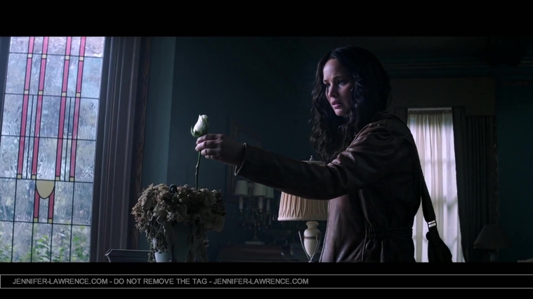 The_Hunger_Games__Mockingjay_Trailer_Countdown_-_225_Days22_31.jpg
