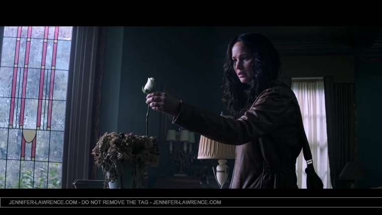 The_Hunger_Games__Mockingjay_Trailer_Countdown_-_225_Days22_33.jpg