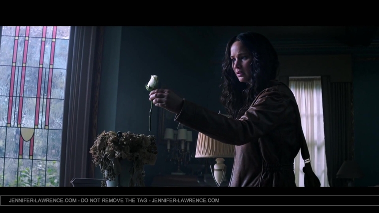 The_Hunger_Games__Mockingjay_Trailer_Countdown_-_225_Days22_34.jpg