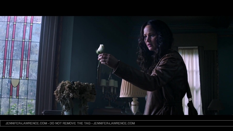 The_Hunger_Games__Mockingjay_Trailer_Countdown_-_225_Days22_37.jpg