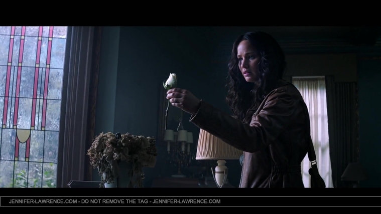 The_Hunger_Games__Mockingjay_Trailer_Countdown_-_225_Days22_39.jpg